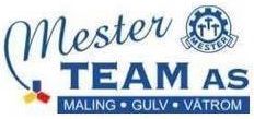 Logo Mesterteam AS